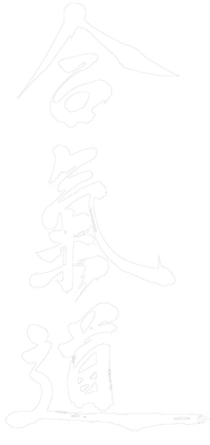 E.P.P.G.  SECTION AIKIDO