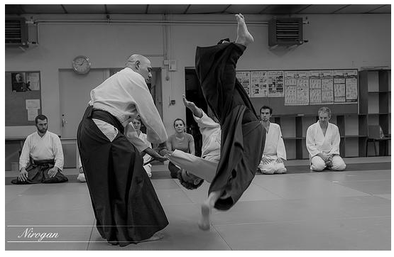 AIKIDO CLUB AVALLONNAIS