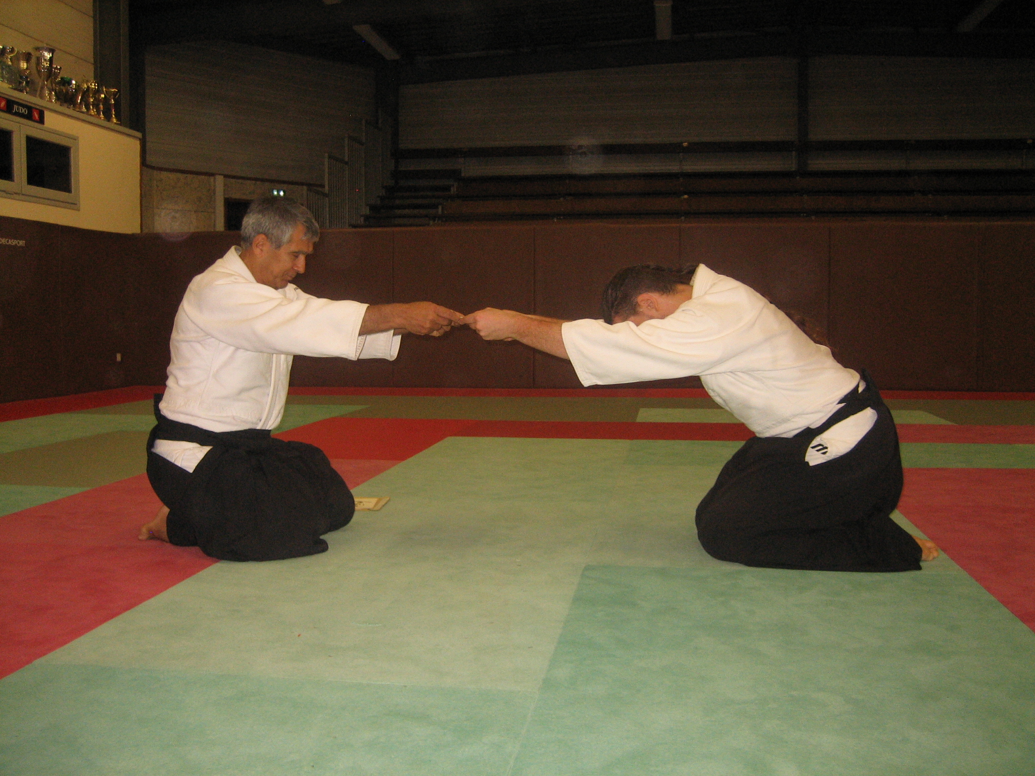 AIKIDO CLUB IRIGNY