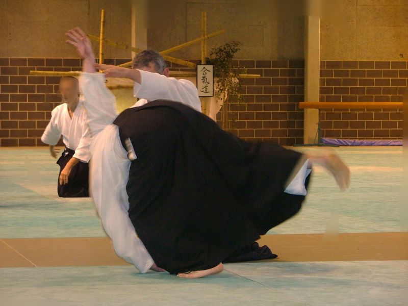 Aïkido et Handicap